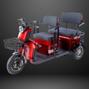 48V Electric Trike - Rickshow